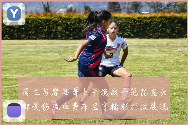 荷兰与摩洛哥上半场战平范赫克头部受伤流血费布吕亨精彩扑救展现实力