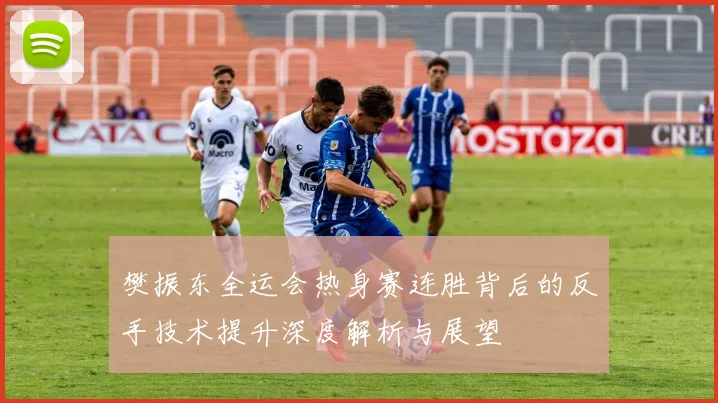 樊振东全运会热身赛连胜背后的反手技术提升深度解析与展望